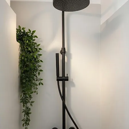Ovio Ii Páros